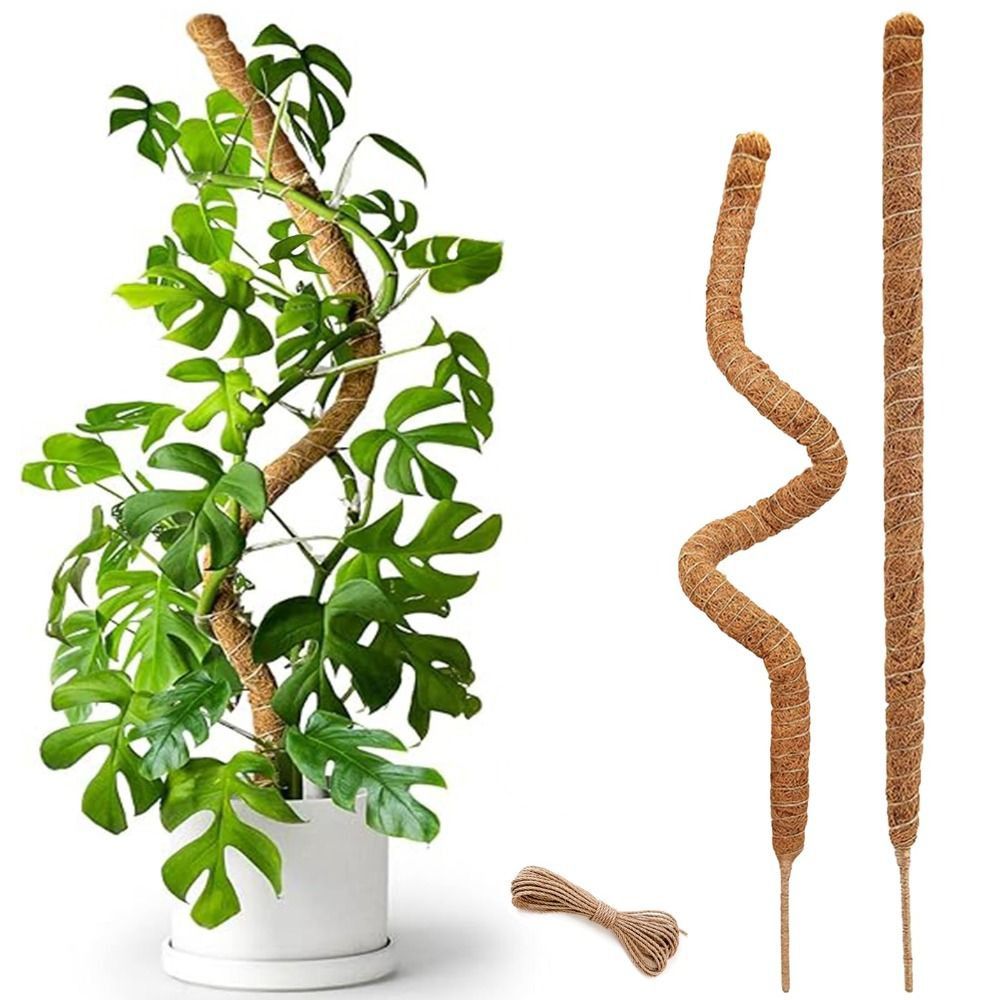 Plant Support Bendable Moss Po - đánh giá và giá Sphagnum Moss Dry