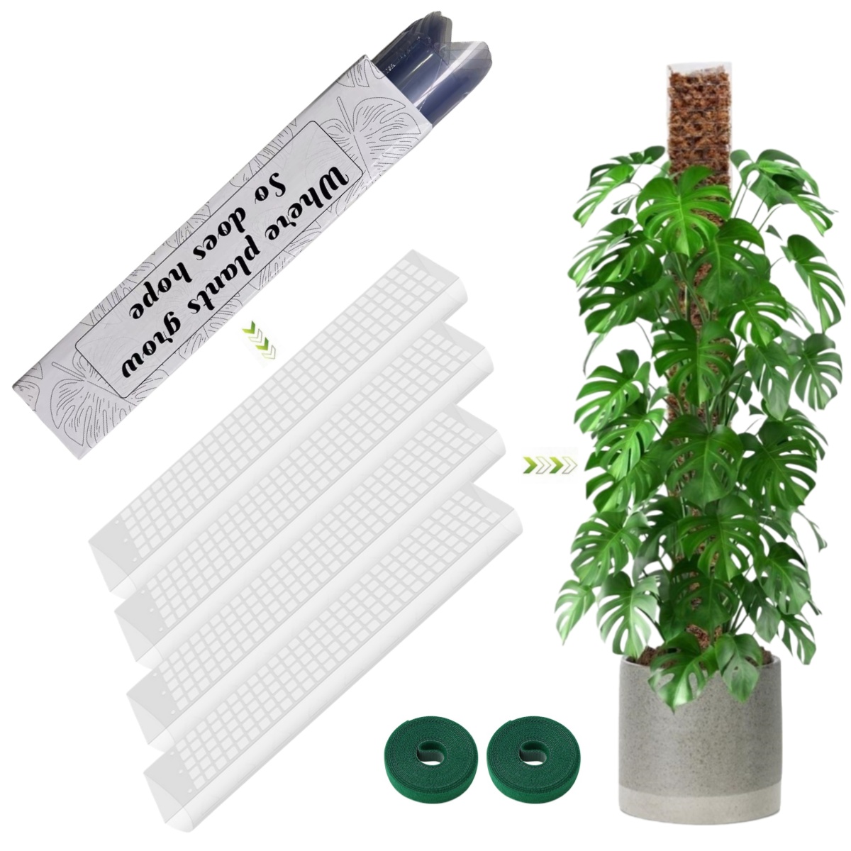 Moss Pole Plastic Plant Stand  - đánh giá và giá Sphagnum Moss Dry