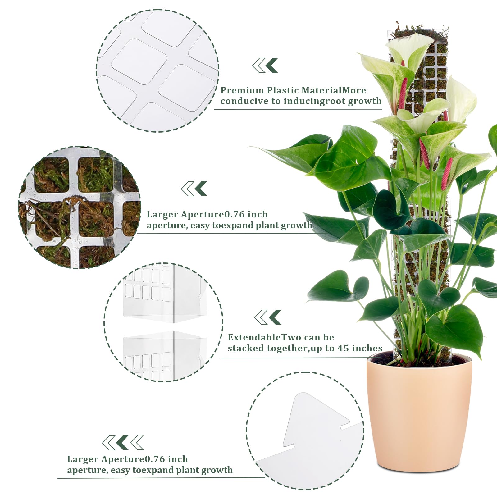 Moss Pole Plastic Plant Stand  - đánh giá và giá Sphagnum Moss Dry
